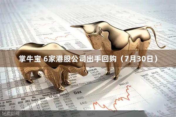 掌牛宝 6家港股公司出手回购（7月30日）
