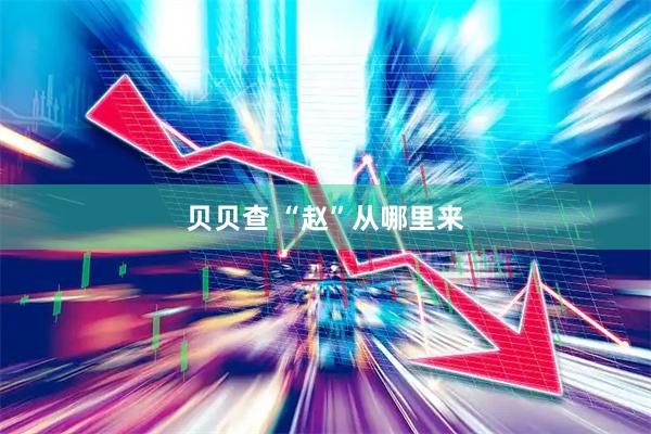 贝贝查 “赵”从哪里来