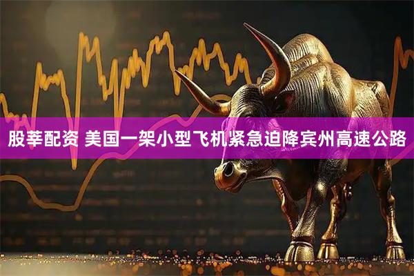 股莘配资 美国一架小型飞机紧急迫降宾州高速公路