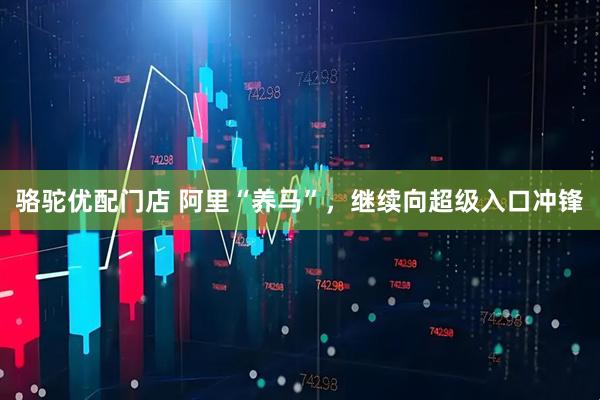 骆驼优配门店 阿里“养马”，继续向超级入口冲锋
